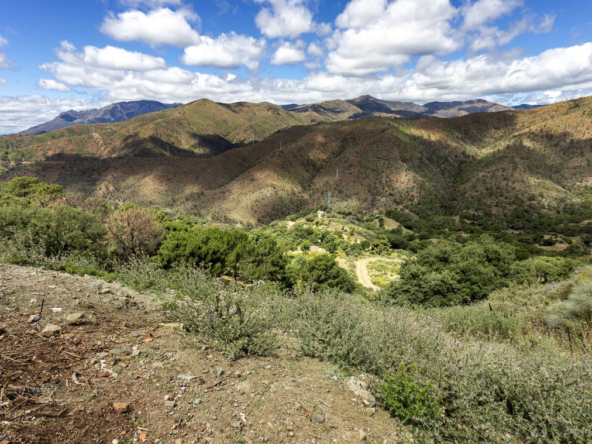 Land in Benahavís