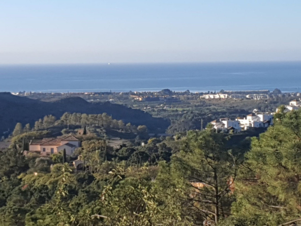 New Development in Benahavís