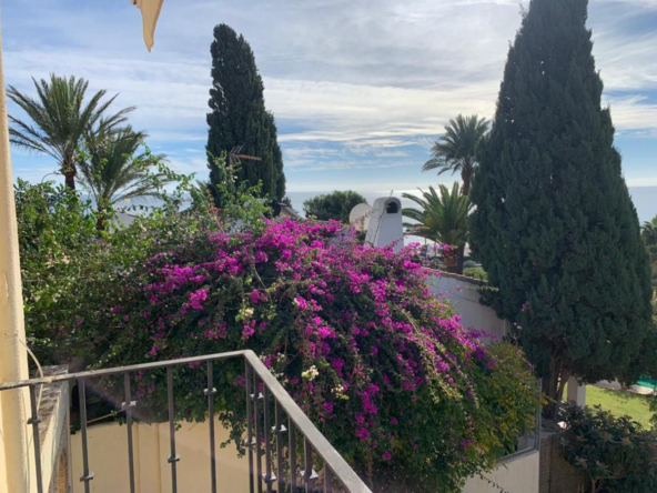Detached Villa in Estepona